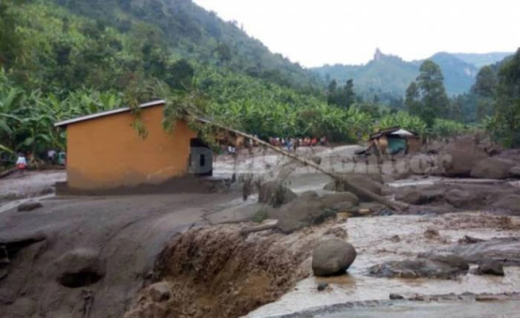 At least 30 feared dead after Uganda landslides: official