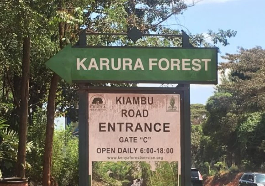 Green Belt Movement opposes plan to hive off 51 acres of Karura Forest for Kiambu road expansion