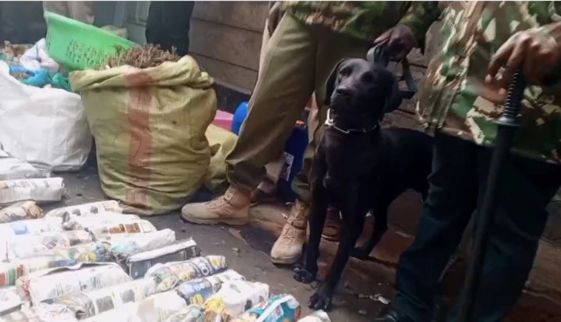 Rongai: Two women arrested for selling bhang disguised as cigarettes