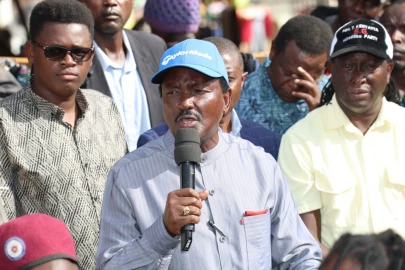 Kalonzo castigates Ruto's new handshake with Uhuru