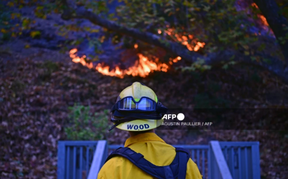 Scramble to shelter animals from Los Angeles wildfires