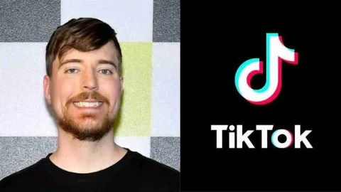 YouTube star MrBeast says he will 'buy TikTok'