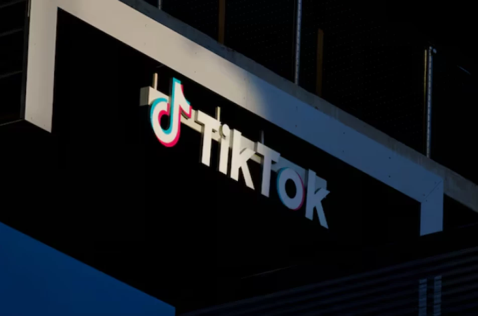 TikTok ban: Why does the US want to shut down this app?