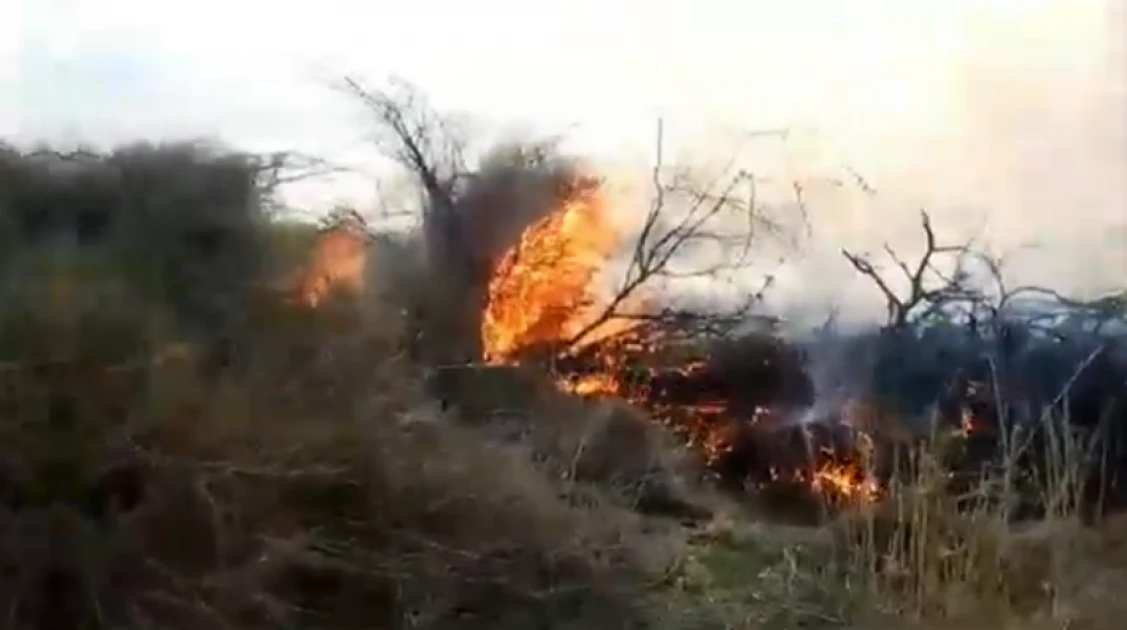 3-day fire ravaging grazing fields in Isiolo, gov’t yet to intervene