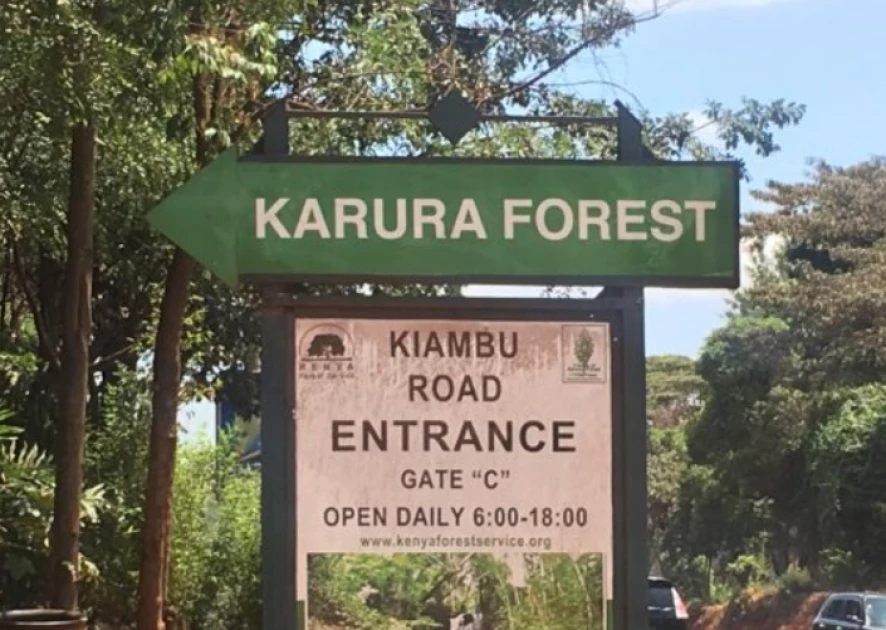 Environmentalists up in arms over activities in Karura Forest despite court order