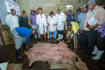 Kirinyaga County partners with National Gov’t to train butchers on hides and skins handling