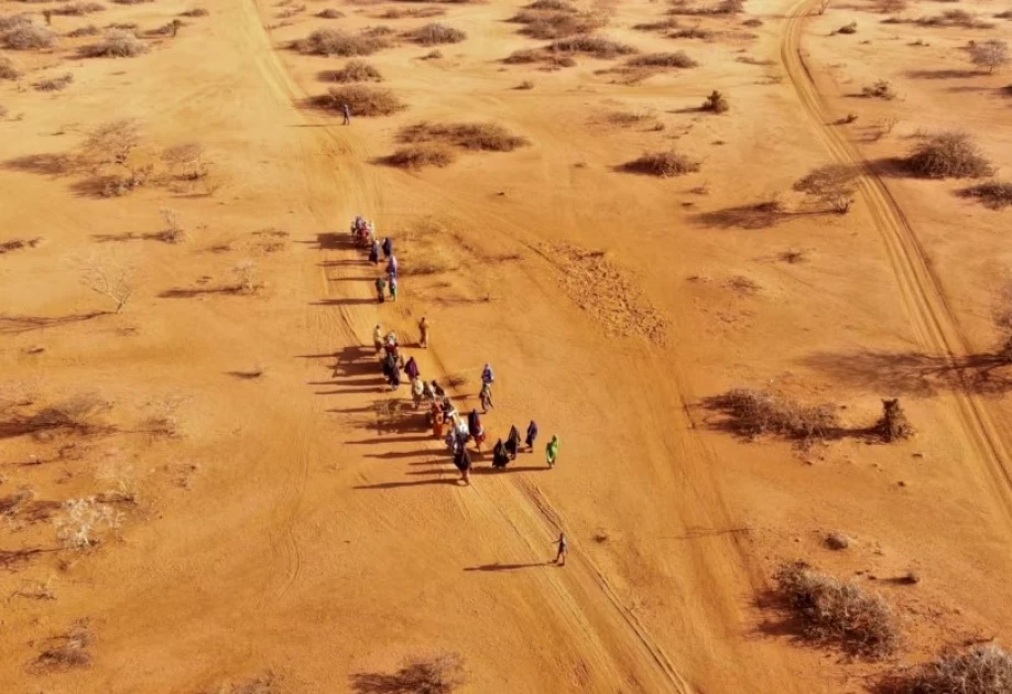 Drought led to 71,000 ‘excess deaths’ in Somalia, report shows