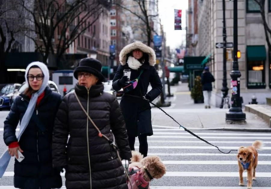 New Yorkers may be allowed to use paid sick leave to look after pets