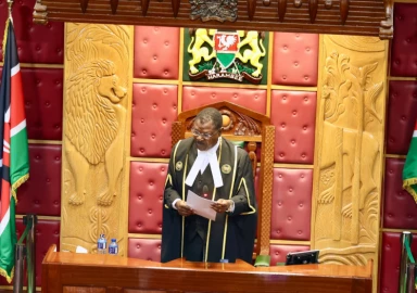 Court cannot declare the Majority in Parliament, Speaker Wetangula declares