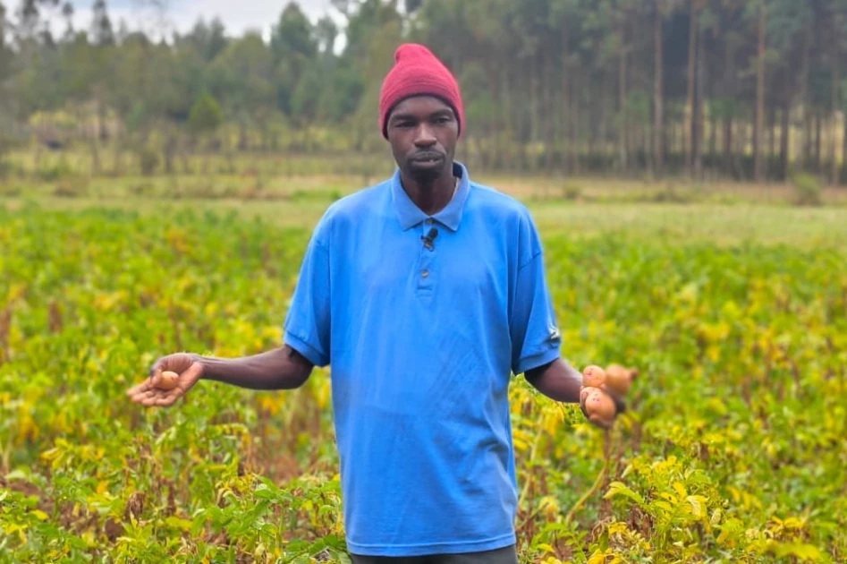 How Nakuru farmers overcame post-election scars to tackle climate-induced hunger