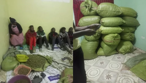 50-year-old woman among 8 arrested as 497kgs of bhang seized in Nakuru