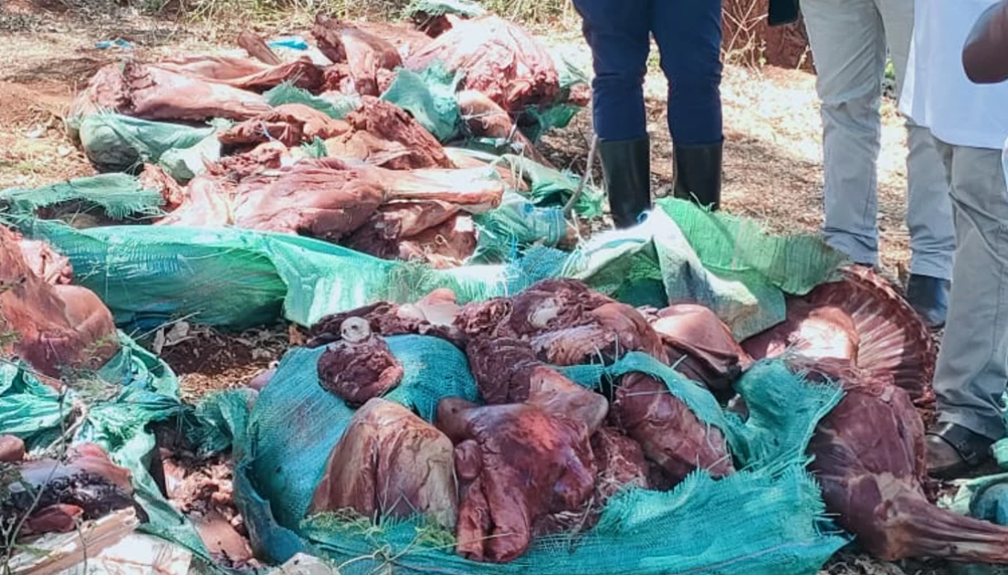 One suspect arrested as 1,500 kilos of donkey meat seized in Embu