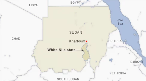 Sudanese RSF paramilitaries kill 100s in White Nile state