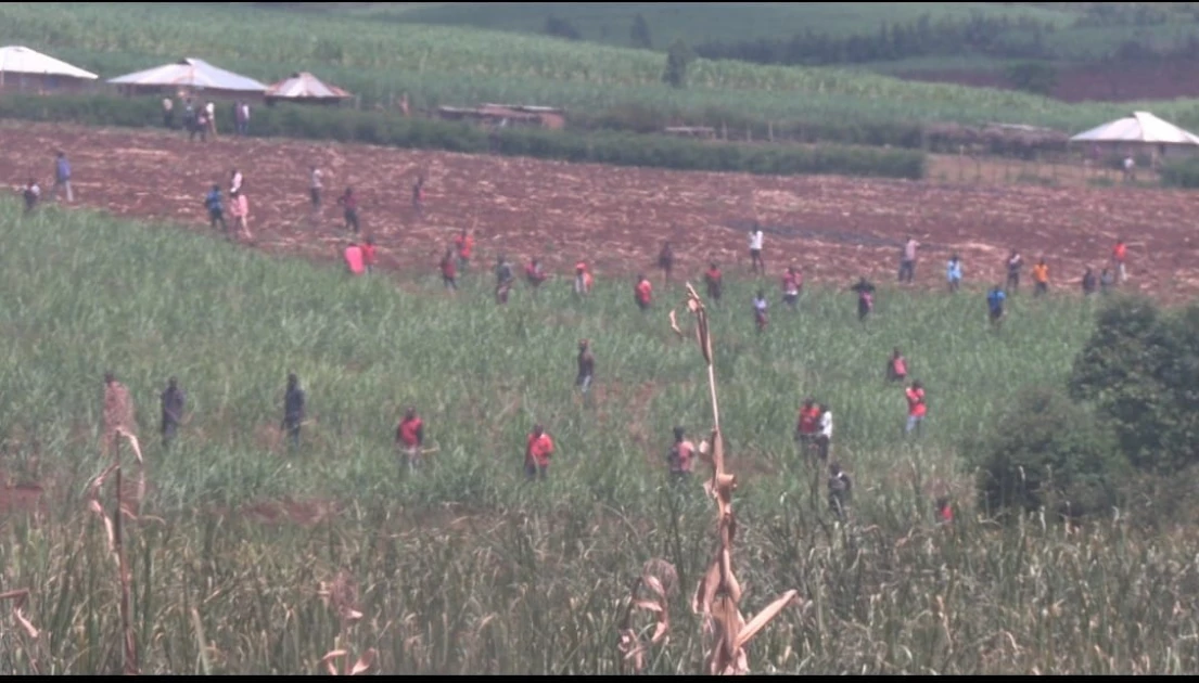 Eight injured in fresh clashes at Kisii-Transmara border over cattle theft