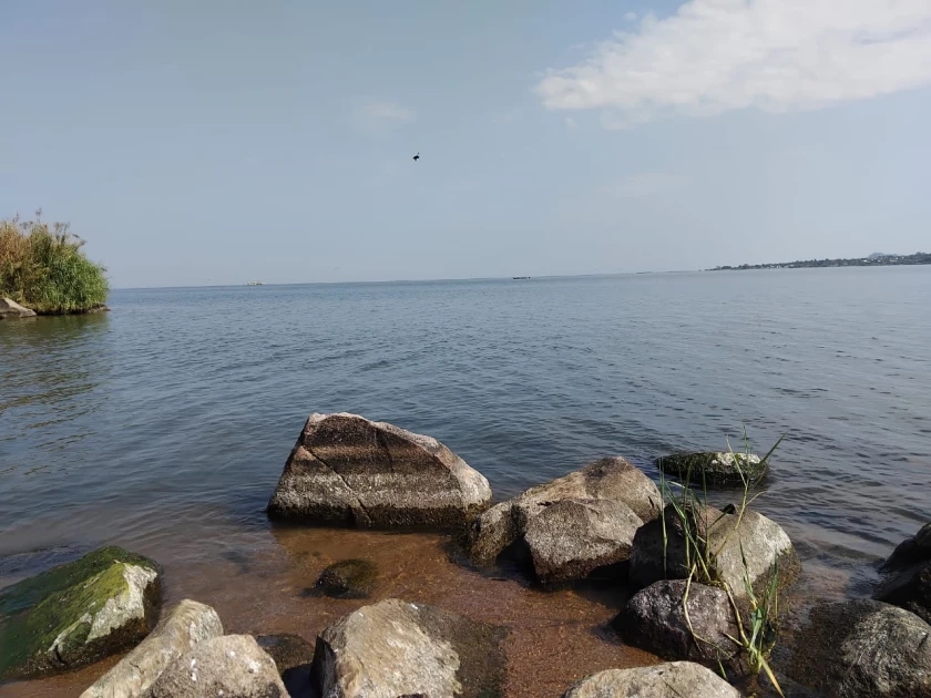 ‘The lake is drying’: Lake Victoria waters recede amid rising temperatures 