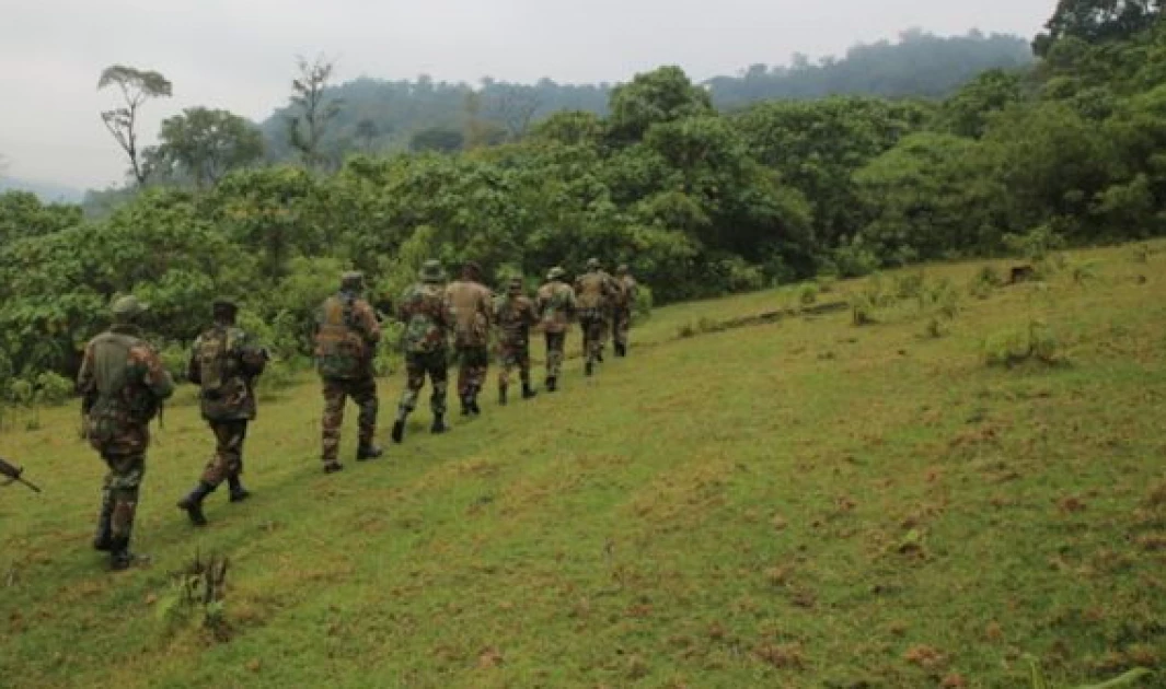 Probe after KFS officer shoots civilian dead over firewood