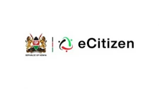 e-Citizen platform at risk of collapse amid contract controversy