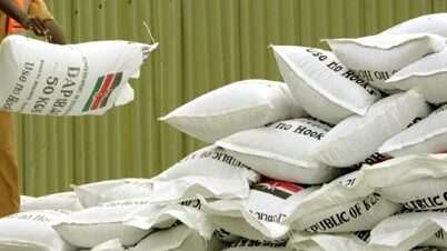 Kitale farmers stranded as fertilizer shortage persists