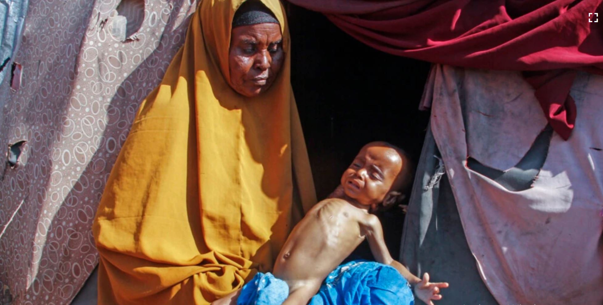 Somalia's Worst Drought in Decades Escalates