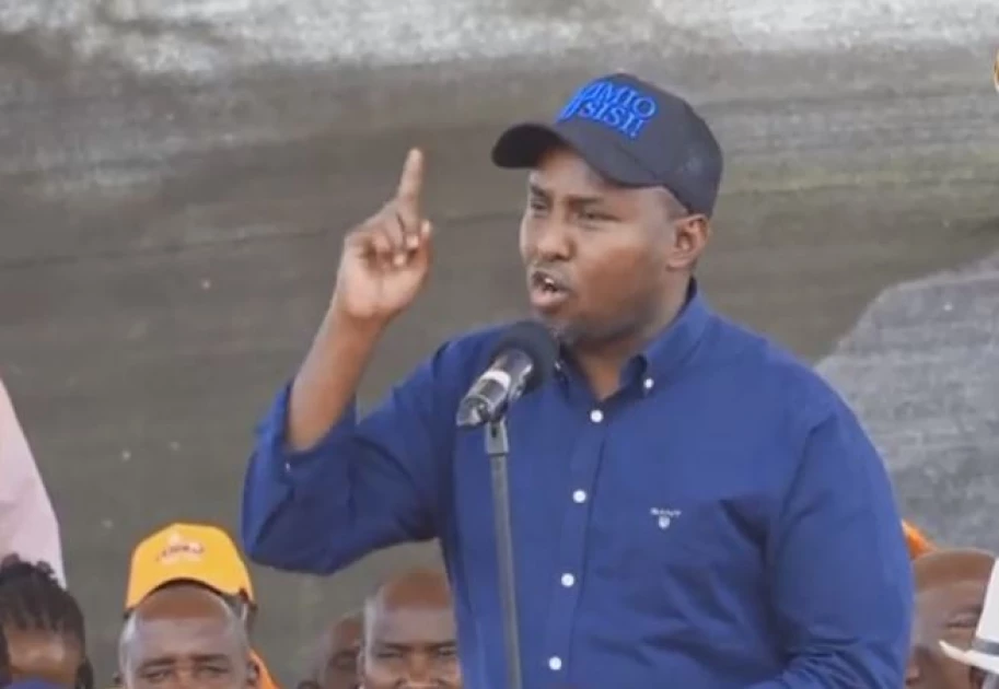 MP Junet Mohamed  proposes scrapping public participation to fast-track development