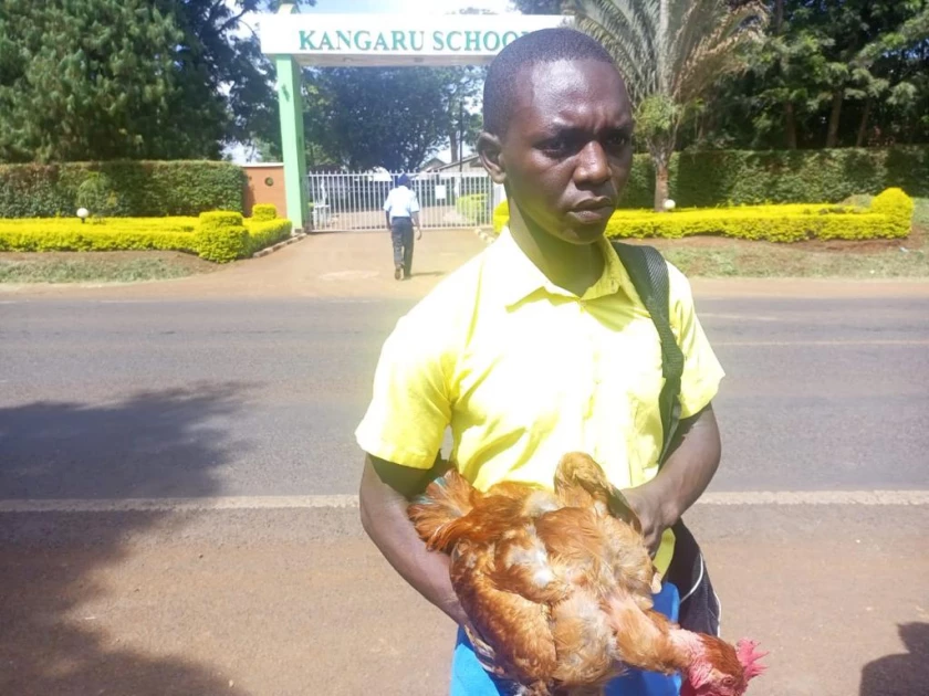 Form One student takes cockerel to school as payment for Ksh.48K fee