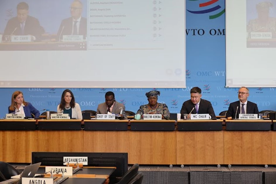 OPINION: High stakes for African Countries at the 12th WTO Ministerial Conference