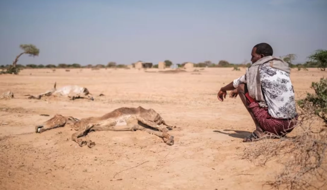 Is eastern Africas drought the worst in recent history? And are worse yet to come?