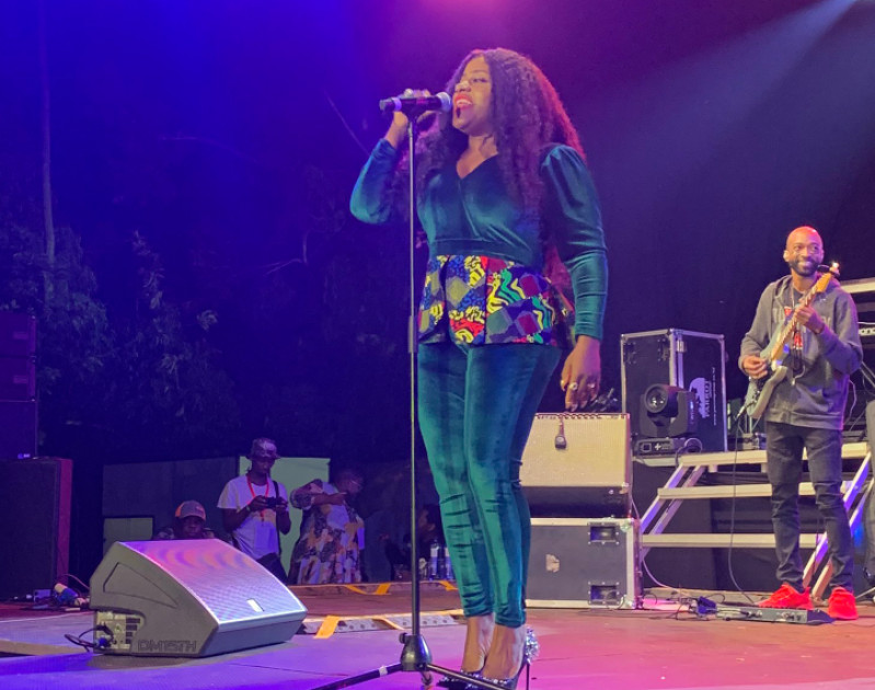 Revealed: Why sound was switched off at Etana concert