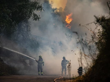 Climate change drives Europe towards record fire year
