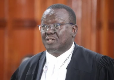 Raila's lawyer Paul Mwangi files petition challenging GMO ban lift