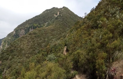 Nakuru: Student who went missing during hike at Mt. Longonot dead