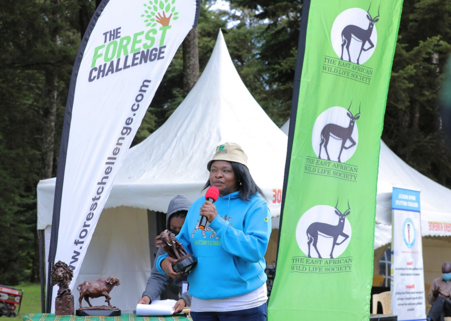 East African Wildlife Society calls for planting of more seedlings to boost Kenyas forest cover