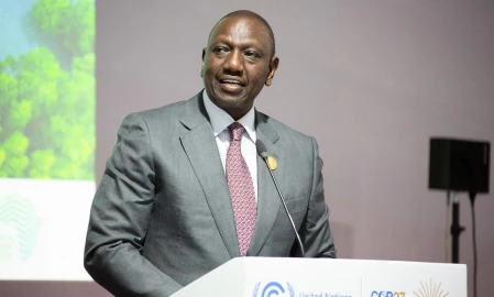 President Ruto to MPs: Protect CDF for the sake of education