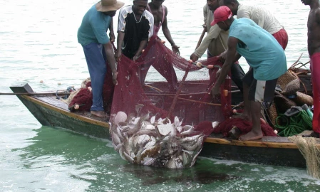 Baringo fishermen protest against county’s move to limit net size