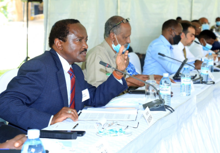 Kalonzo assures South Sudan of Kenya’s unwavering support to peace process