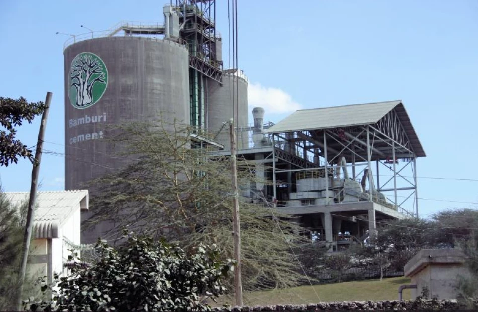 Gov’t grants mining approval to Tanzanian company seeking Bamburi Cement buyout