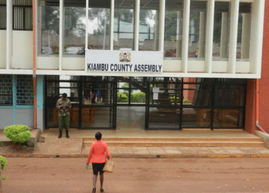 15 Kiambu MCAs suspended for storming assembly with hammers, chains and locks