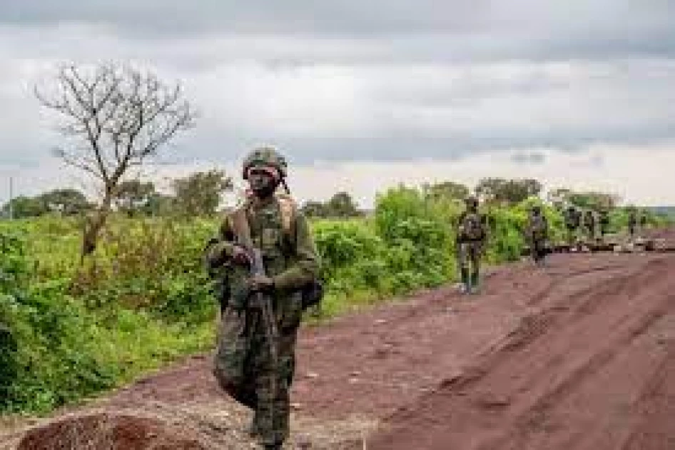 EU urges Rwanda to stop supporting M23 rebels in DR Congo