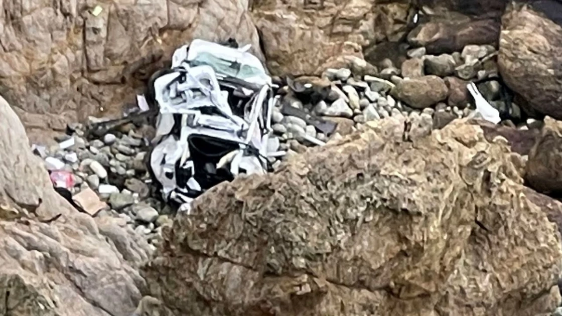 Tesla plunges 250 feet off a California cliff, all 4 occupants survive