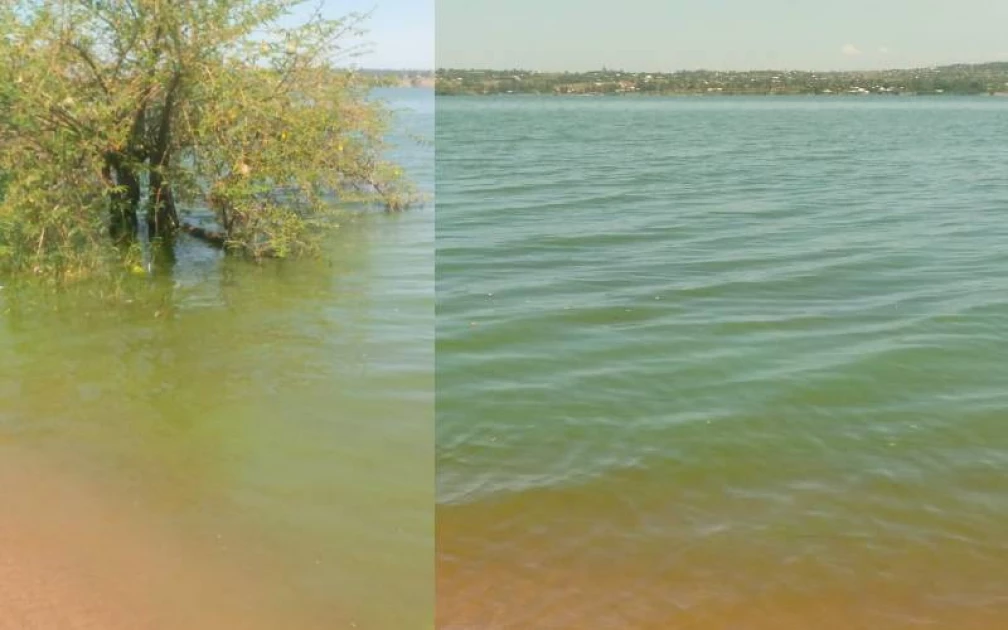 Algal bloom leave Lave Victoria residents feeling thirsty