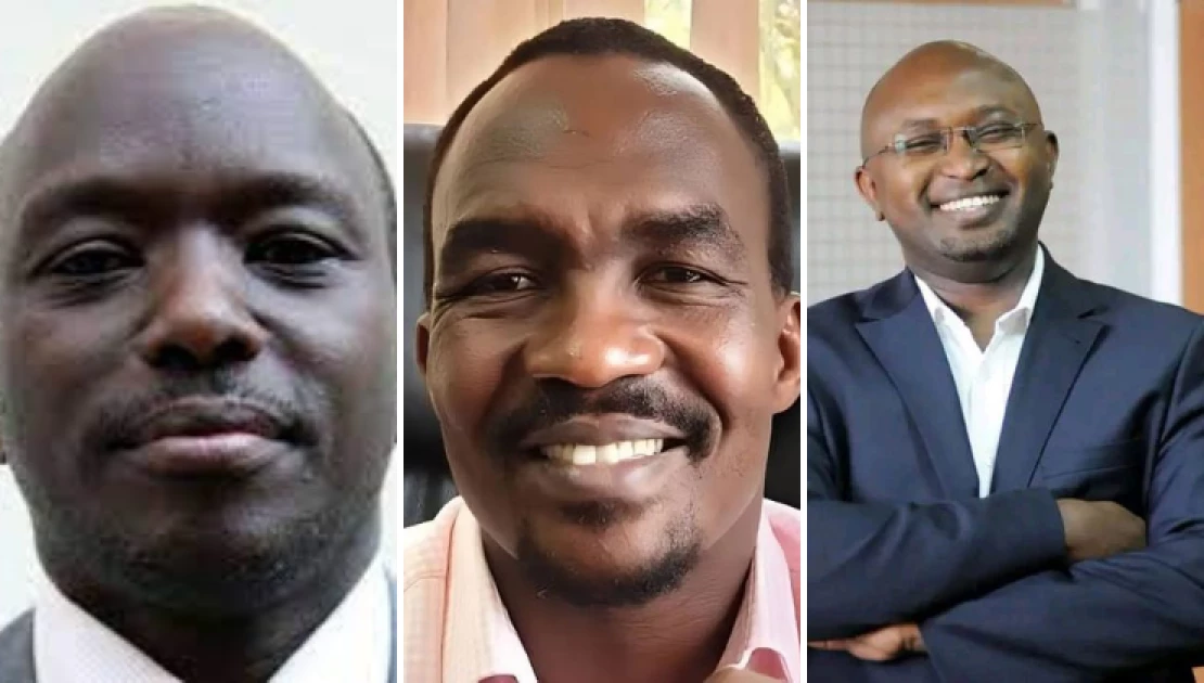 President Ruto appoints Munyori Buku, Eric Ngeno, Wanjohi Githae to PSC