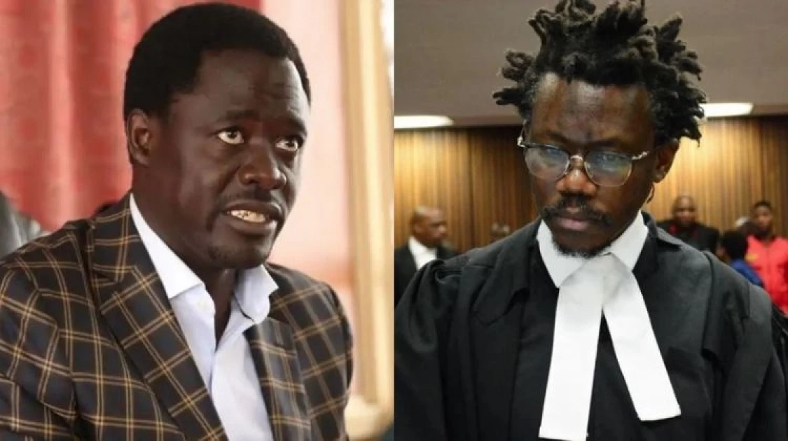 MP Peter Kaluma tried to shame dreadlocked professionals, it did not end well