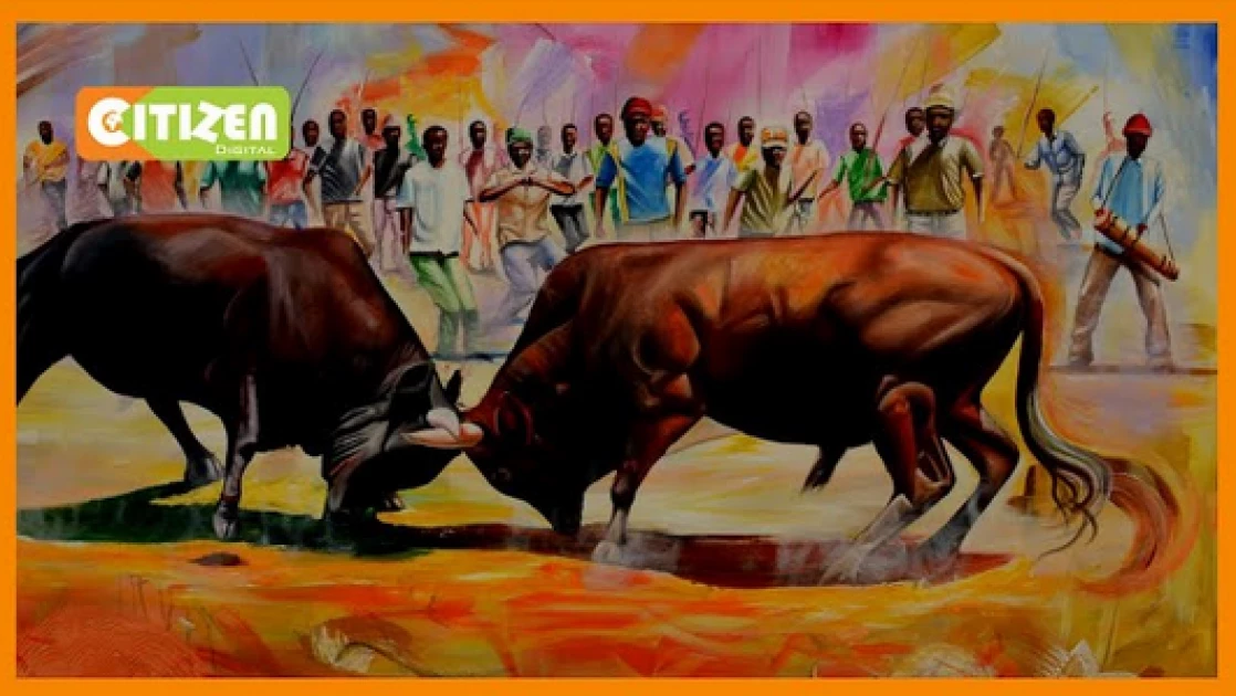 Man dies after being gored at bull-fighting festival in Kakamega