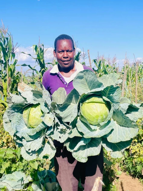 Rehabilitated wetland helps pastoralists venture into farming