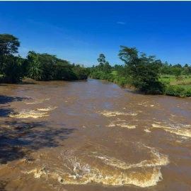 Form 2 student drowns in river Nzoia