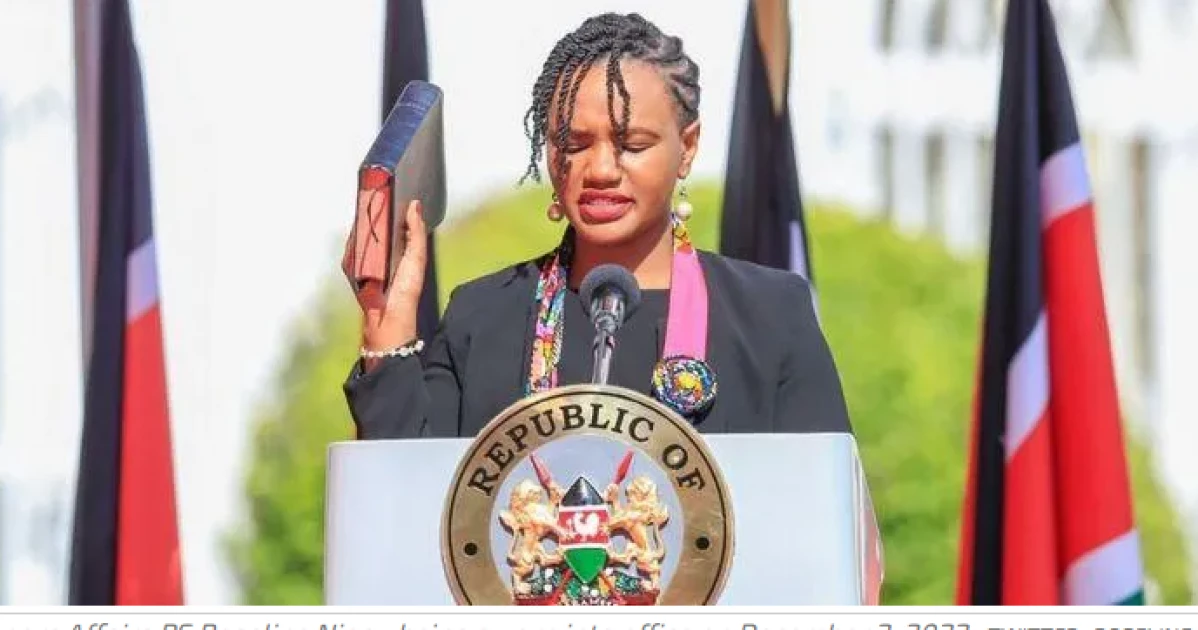An open letter to PS Roseline Njogu on Diaspora Policy