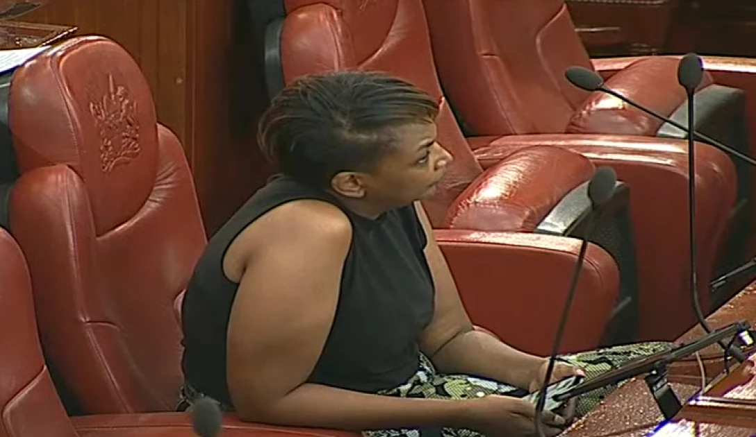 Senator Karen Nyamu ejected from Chambers over 'inappropriate dressing'