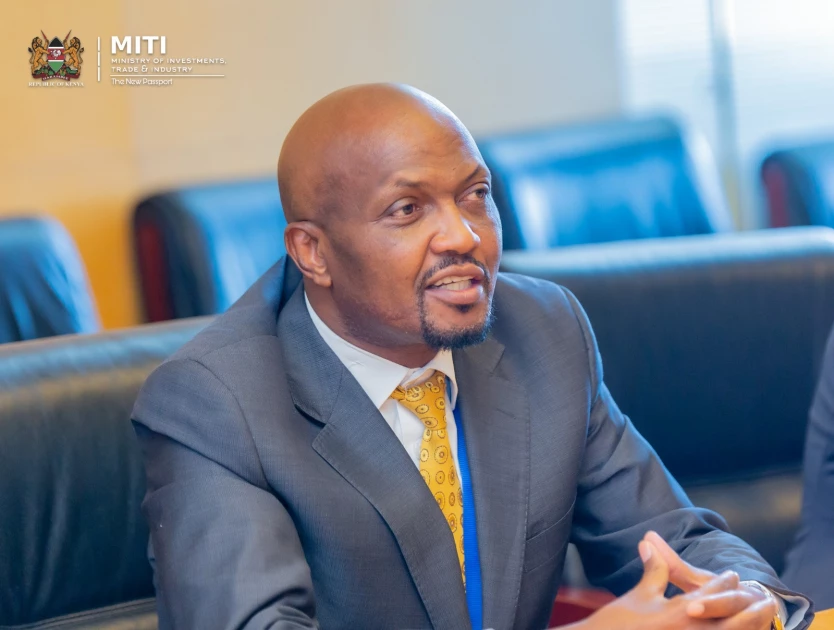 Why I have met 11 presidents in February - Trade CS Moses Kuria