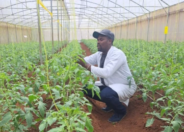 From Shoe Hawker to Thriving Agribusiness Entrepreneur in Rwanda