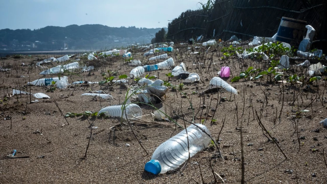 The plastic water bottle industry is booming. Heres why thats a huge problem